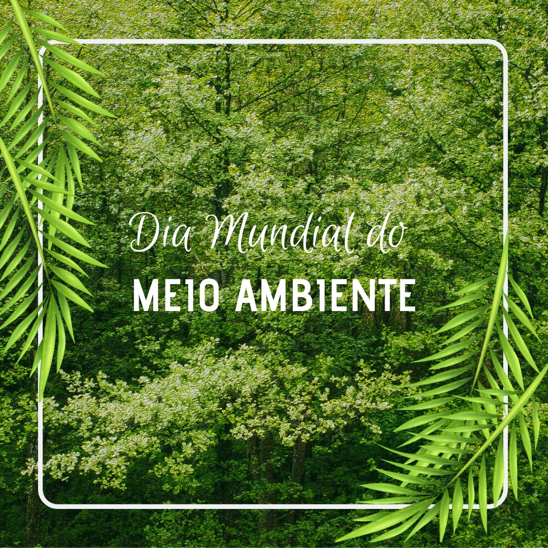 Dia Mundial do Meio Ambiente: conheça mais sobre as ONGs sustentáveis do nosso portfólio