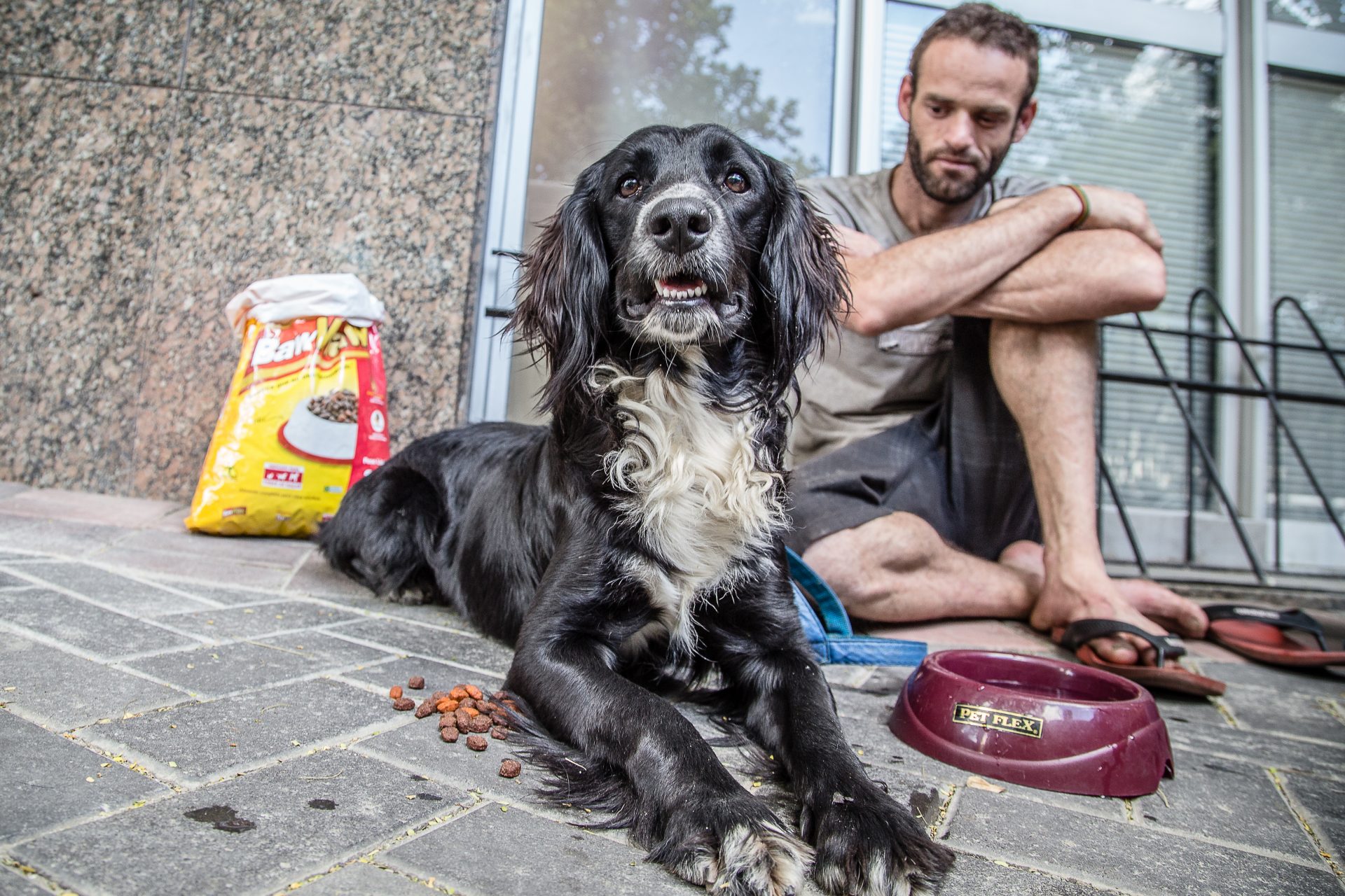 MORADORES DE RUA E SEUS CÃES