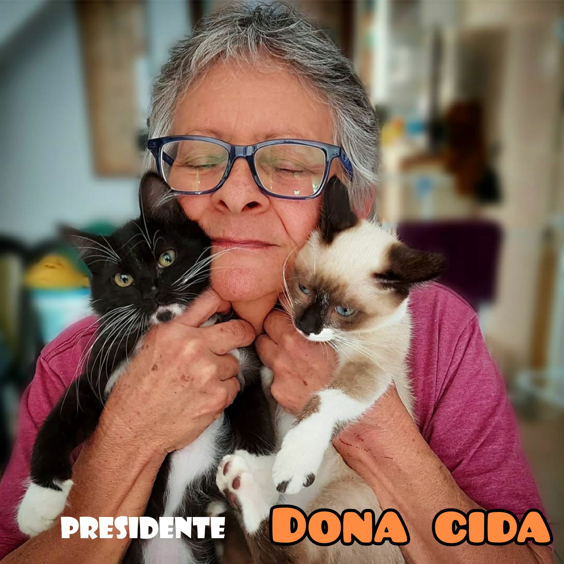 TUDO POR ELES